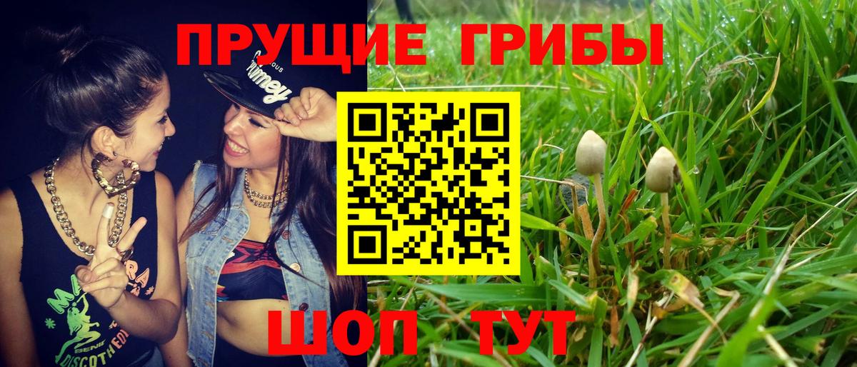 Галлюциногенные грибы Psilocybe  Псилоцибиновые грибы мицелий  Вход с VPN  Елец 